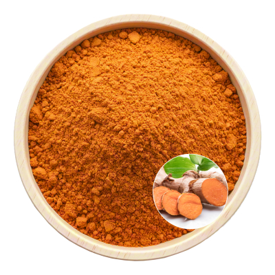 Curcumin Extract