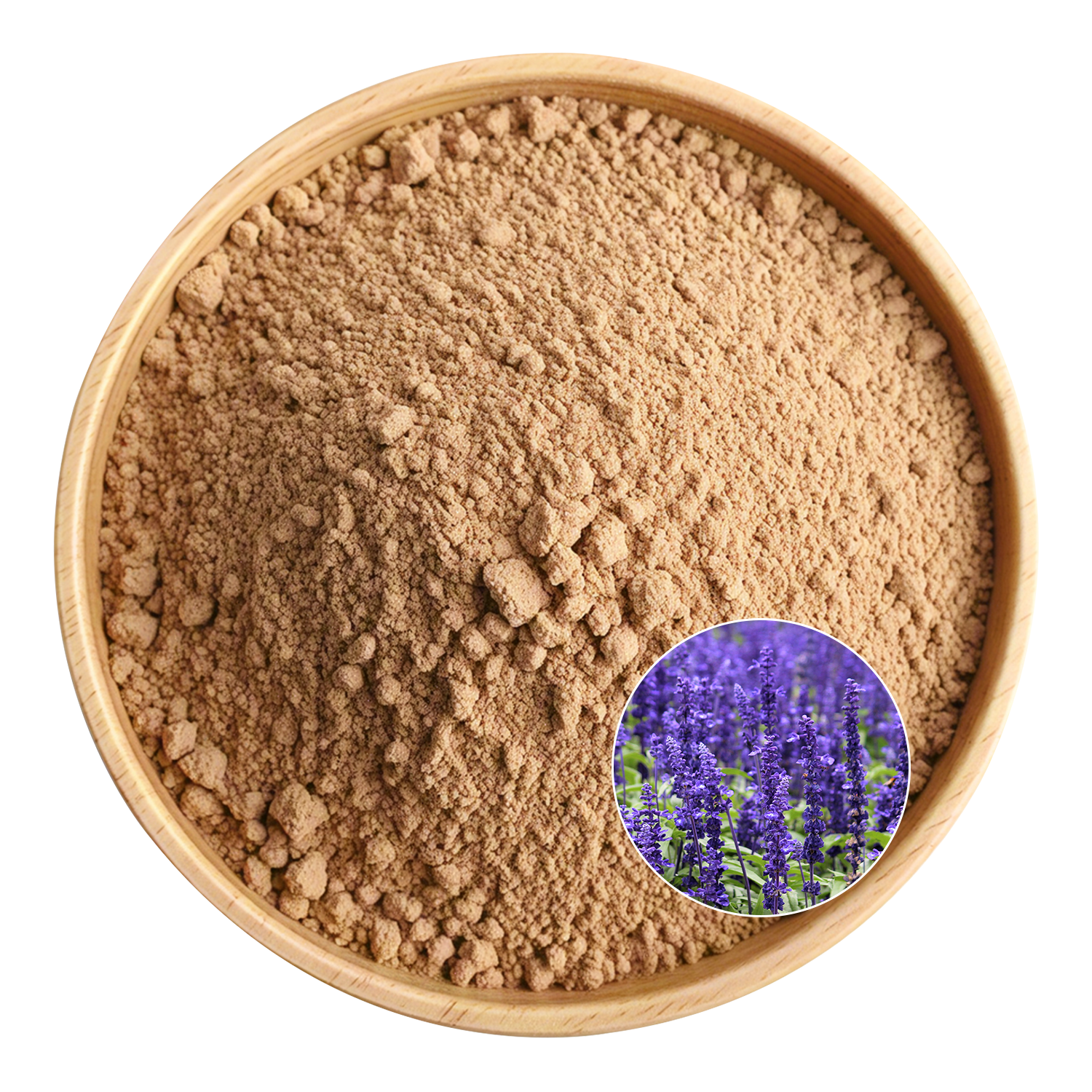 Turkesterone Extract