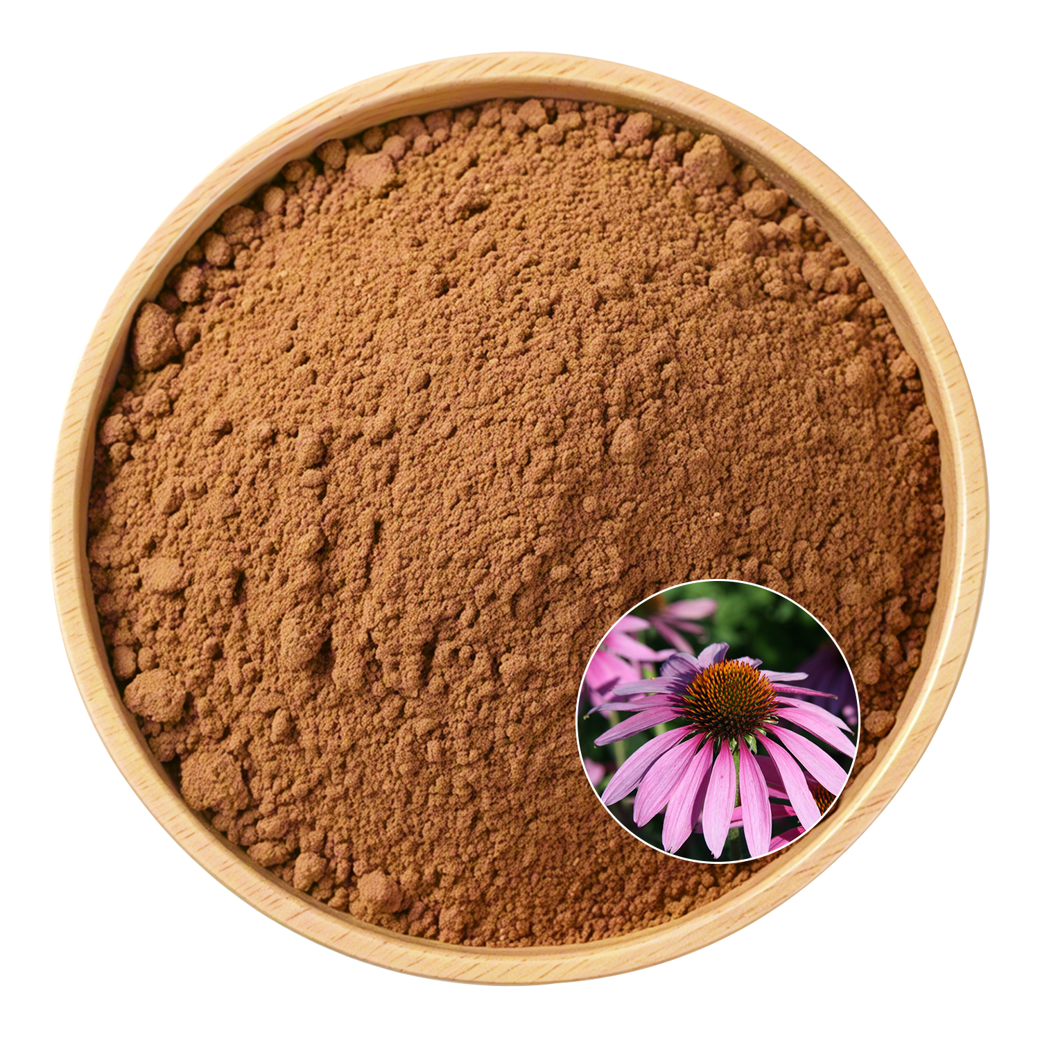 Echinacea Polyphenols 10%